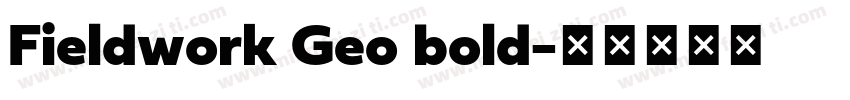 Fieldwork Geo bold字体转换